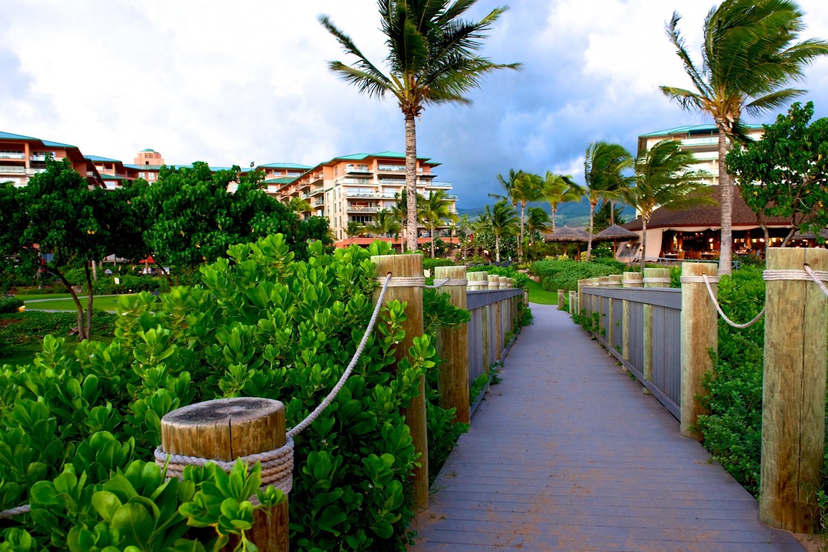 Honolulu & Maui Helicopter Landscape Photography