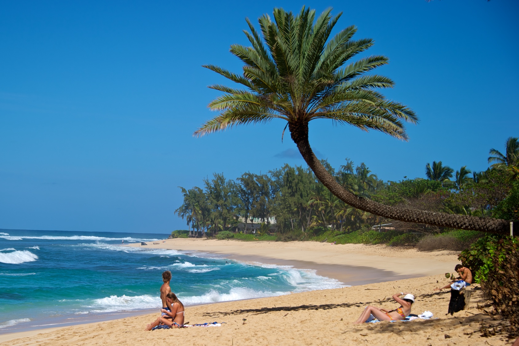 Oahu North Shore: Big Wave Surfing